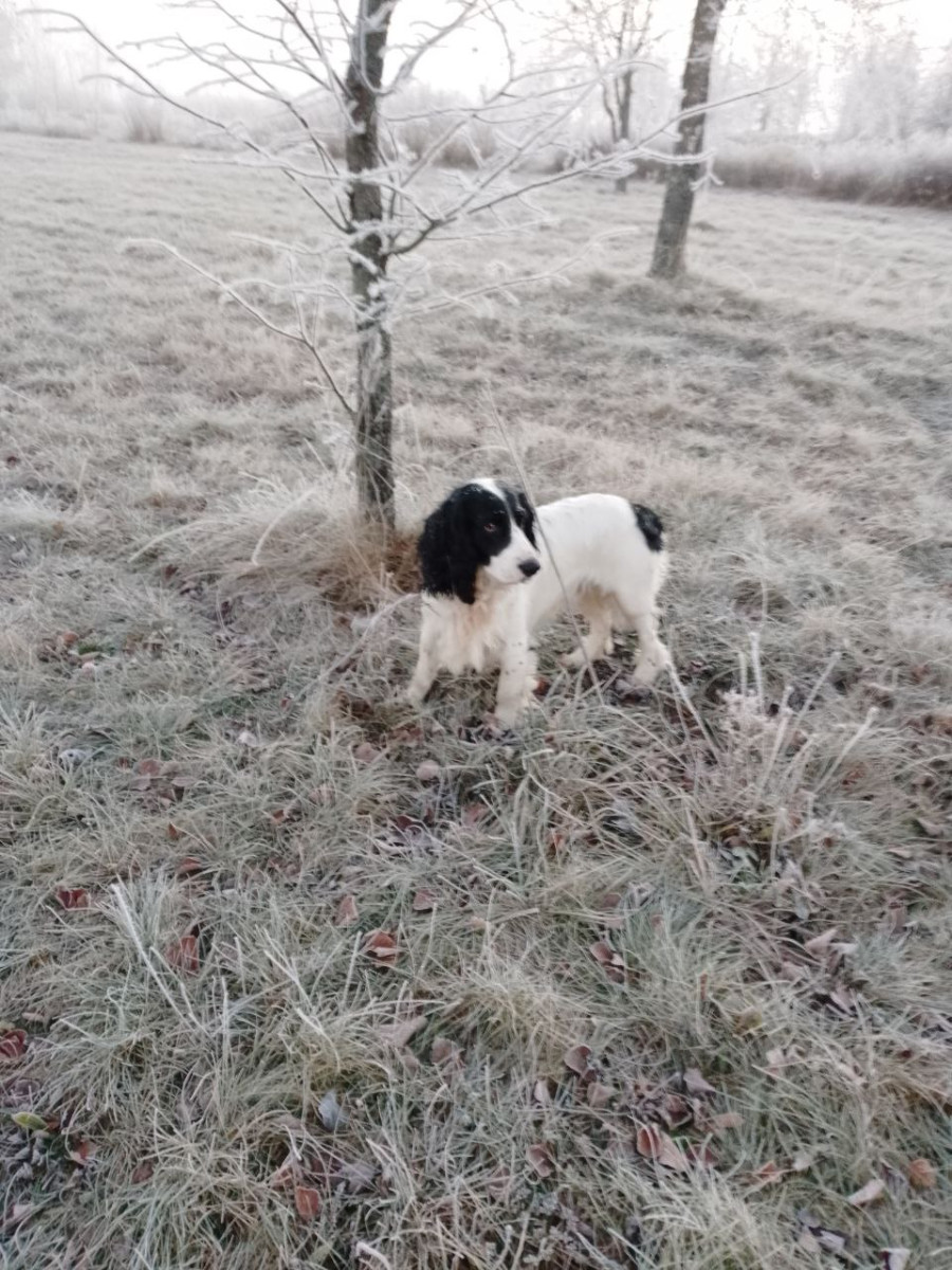 16.11.2025 г. Могилев. Морозное утро в парке у Святого озера