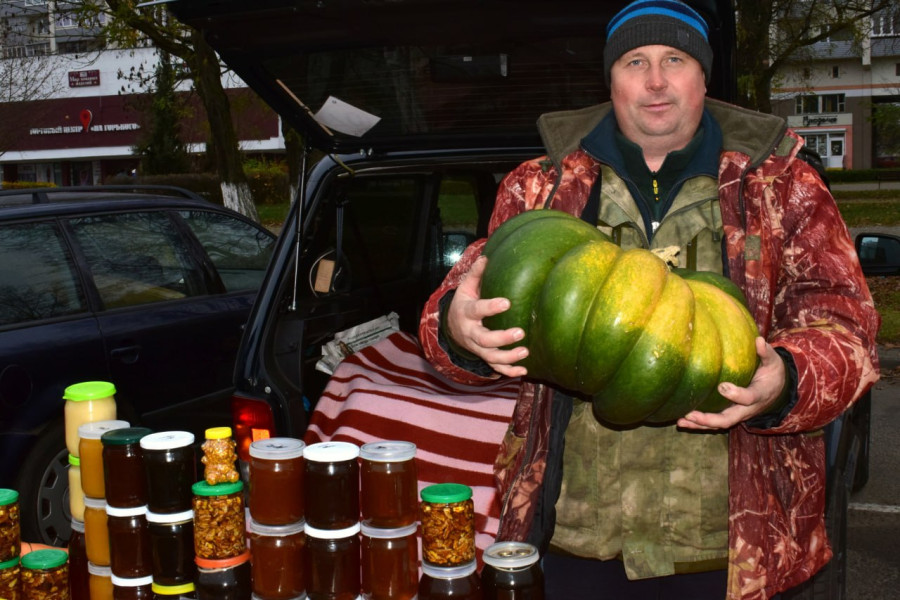 «Золотая осень» завершена: подведем итоги  