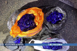 Правоохранители Могилевщины перекрыли крупный канал поставки наркотиков