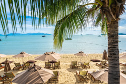 «Белавиа» запустит чартеры на иорданский курорт на Красном море: узнали когда