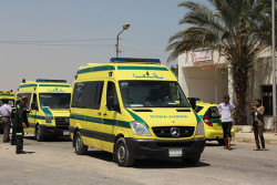 В Египте туристический автобус столкнулся с грузовиком. Погибли водитель и туристка из России 