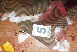 Смертельная ревность: жителя Круглянского района за убийство с особой жестокостью приговорили к 15 годам лишения свободы