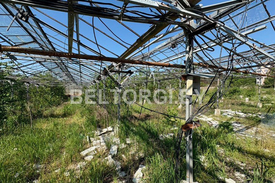 Фото: beltorgi.by