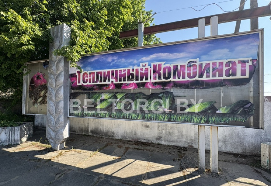 В Бобруйском районе продают частный тепличный комбинат: за год его цена снизилась в 10 раз