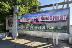 В Бобруйском районе продают частный тепличный комбинат: за год его цена снизилась в 10 раз