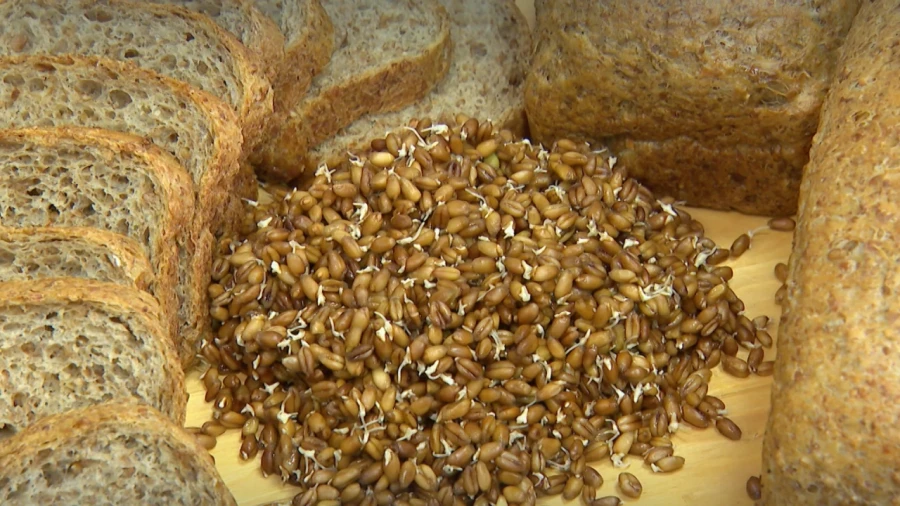 Хлеб из фиолетовой пшеницы начали производить в Беларуси