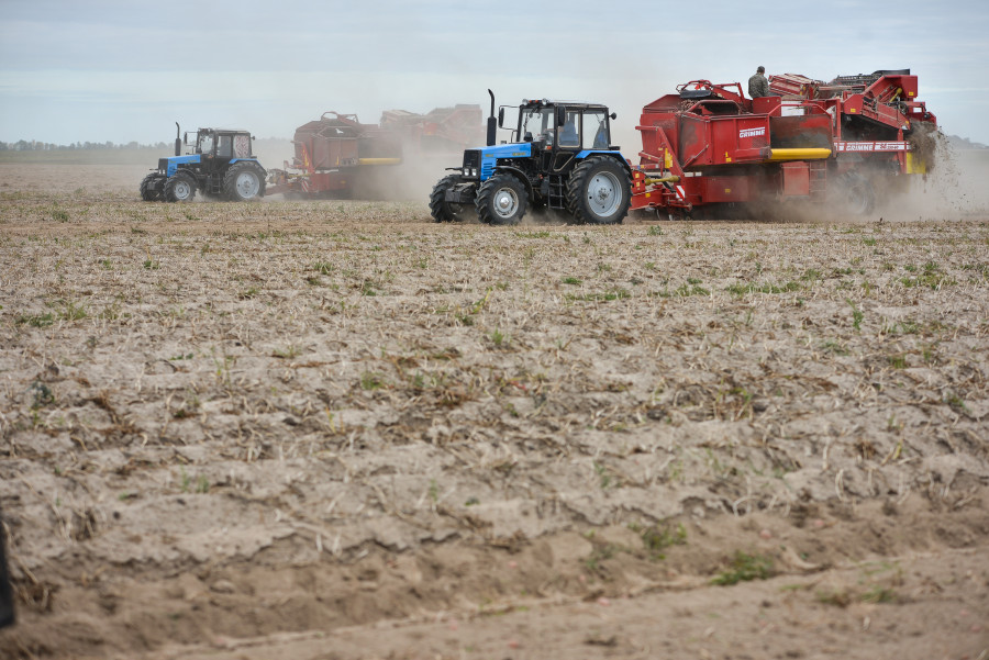 Лукашенко подписал указ об увеличении доплат молодым аграриям 