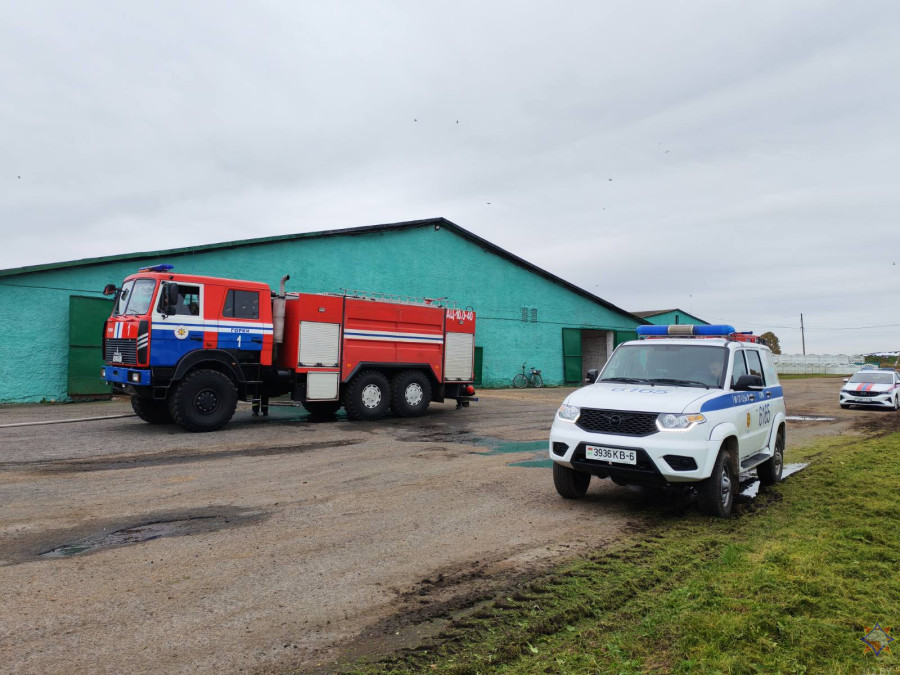 Пожар на ферме в Горках: спасли 50 телят 