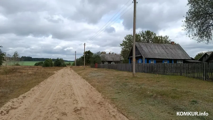 Сентябрь 2025 г. Вид с поселковой улицы на поле и лес.