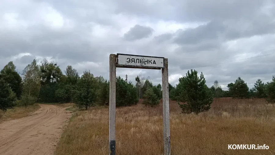 Сентябрь 2025 г. Дорожный знак при въезде в поселок Зеленка.