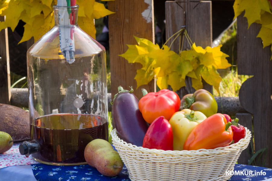 11.10.2025. Поселок Глуша. Региональный фестиваль народного творчества и ремесел «Глушанскi хутарок»
