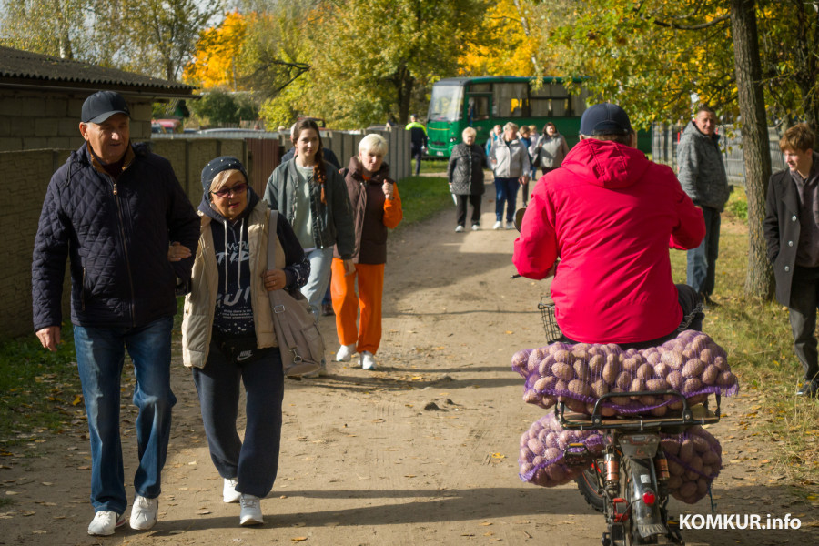 11.10.2025. Поселок Глуша. Региональный фестиваль народного творчества и ремесел «Глушанскi хутарок»