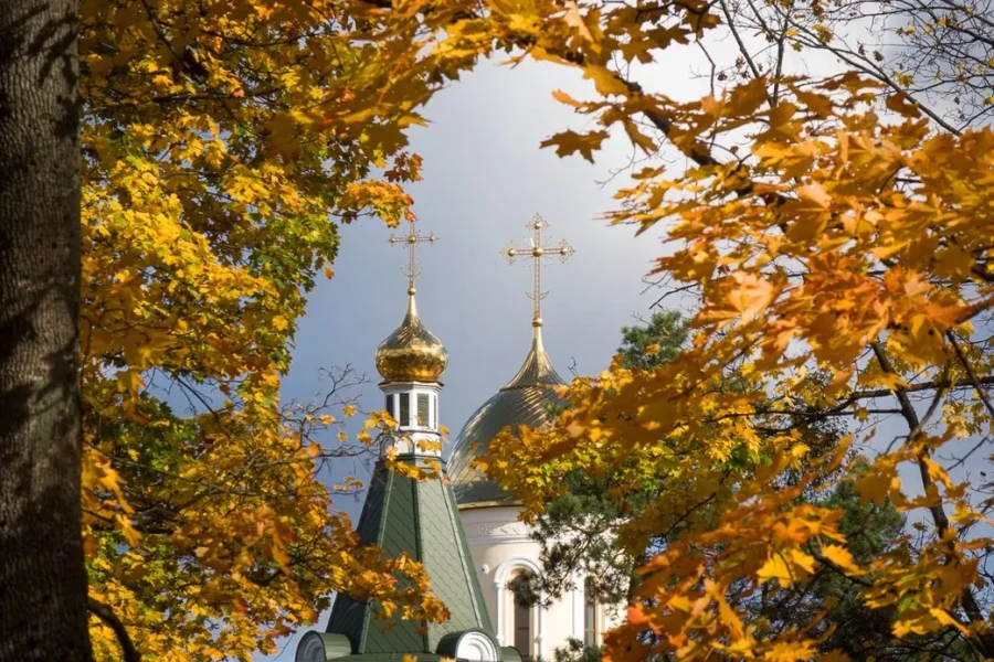 13.10.2025, Бобруйск. Фото из архива редакции.