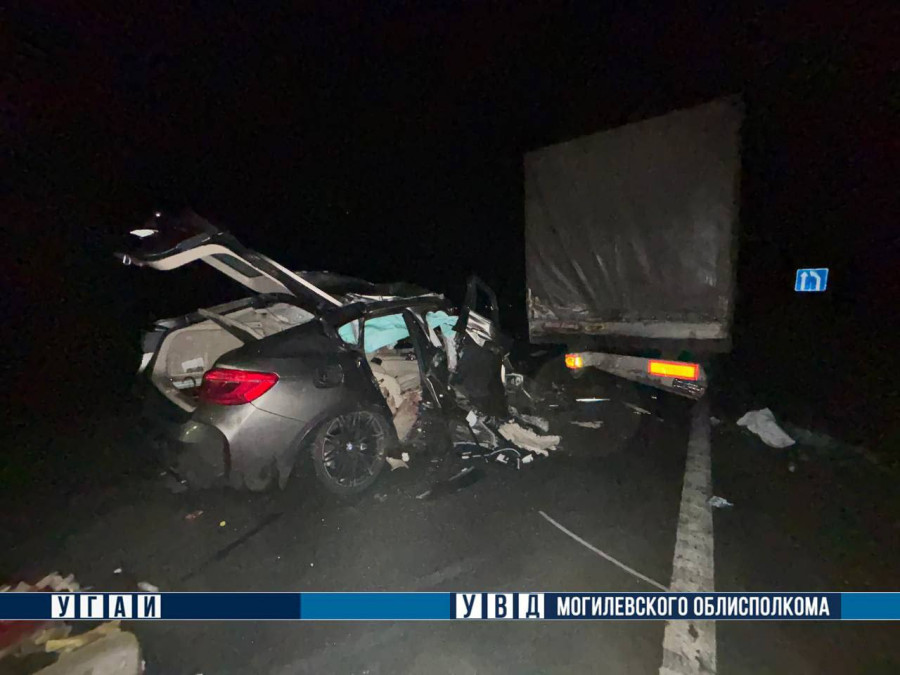 Фото пресс-службы УВД МОИК