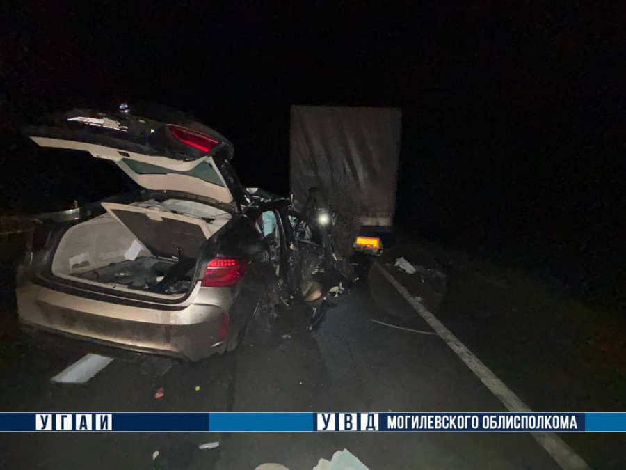 Фото пресс-службы УВД МОИК