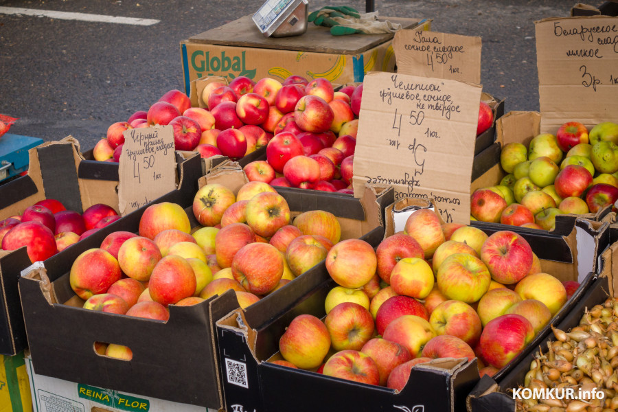 26.10.2025. Улица Горького. Сельскохозяйственная ярмарка «Золотая осень».