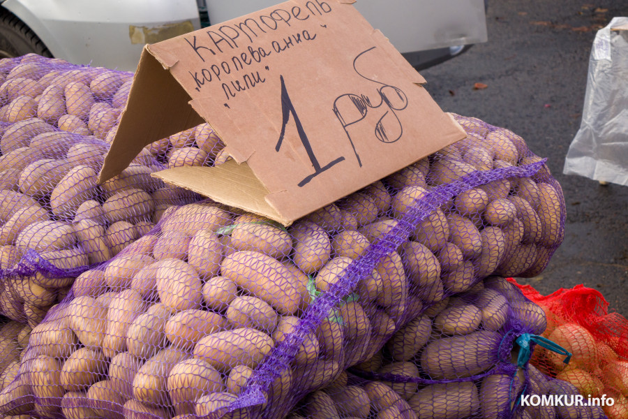 26.10.2025. Улица Горького. Сельскохозяйственная ярмарка «Золотая осень».