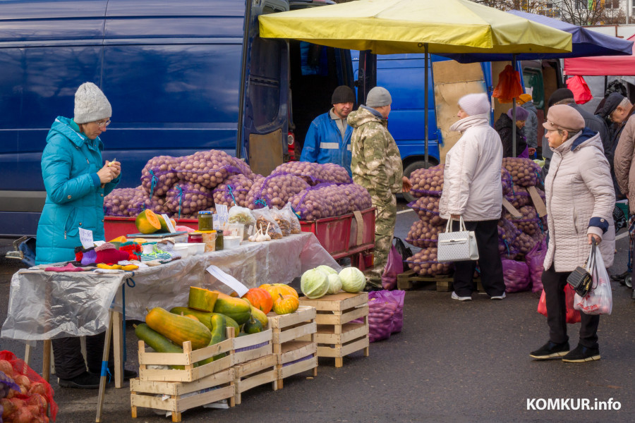 26.10.2025. Улица Горького. Сельскохозяйственная ярмарка «Золотая осень».