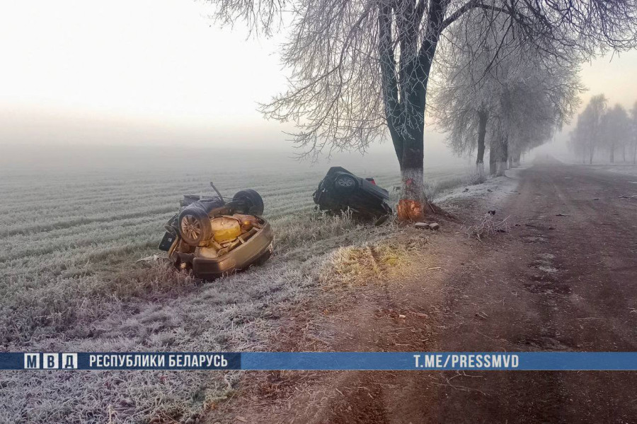 Автомобиль разорвало на две части: в Ветковском районе двое 18-летних погибли в ДТП