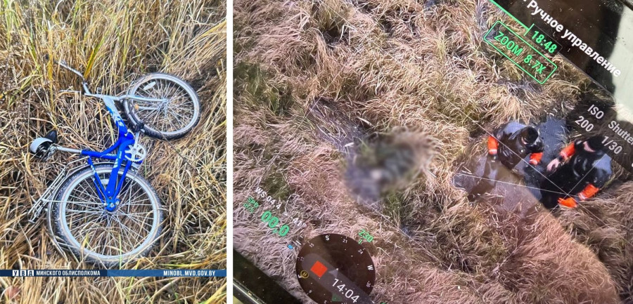 Пропавший в Березинском районе мальчик найден мертвым