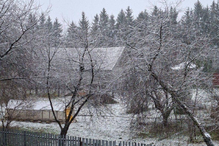 В трех областях Беларуси выпал первый снег