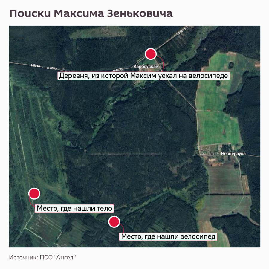 Установлена причина смерти мальчика в Березинском районе