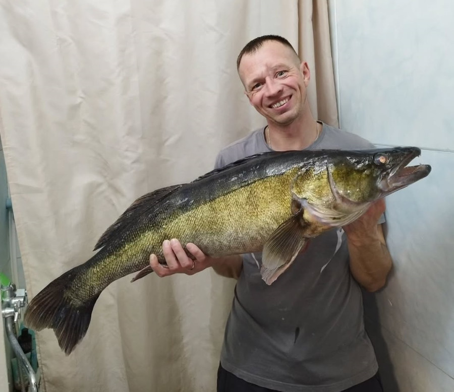 Бобруйчан поймал в Березине судака весом более 8 кг. Фото и рассказ рыбака