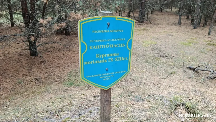 Сентябрь 2025 г. Древние курганы возле деревни Зеленковичи Глусского района.