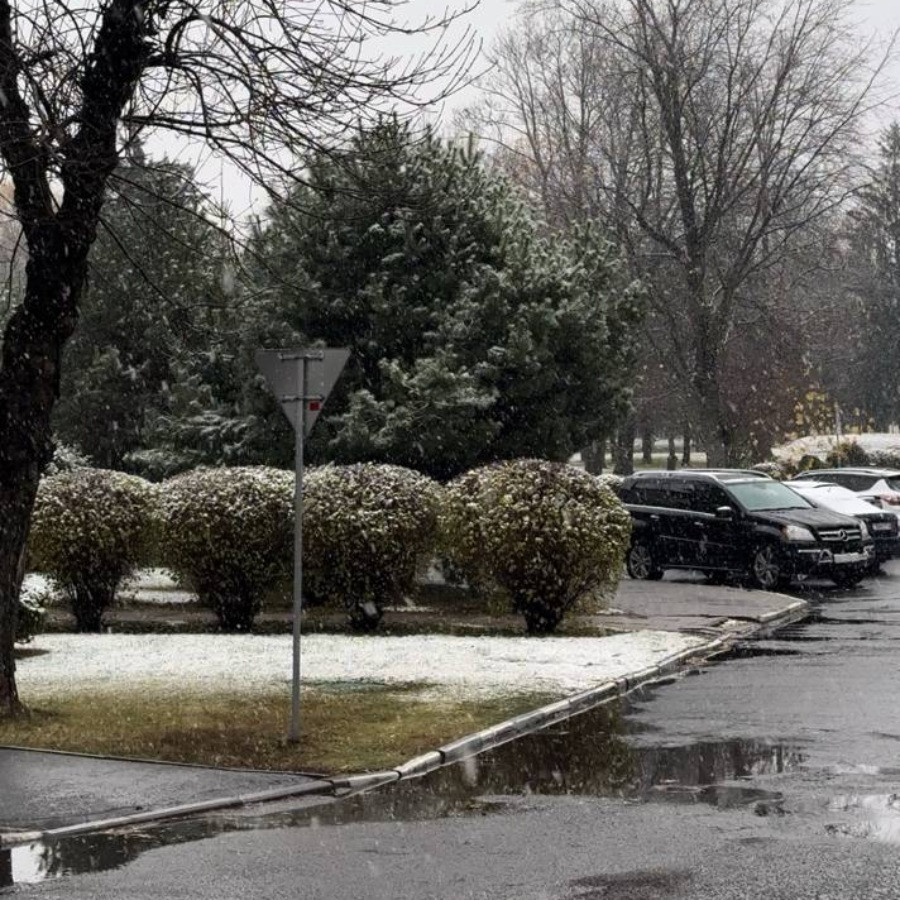 15 ноября 2025 года. Горки. Фото: УО БГСХА / Telegram.