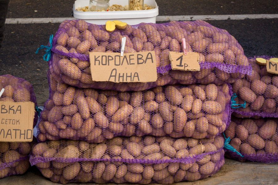Картошку размером менее 45 миллиметров запретили продавать в Беларуси