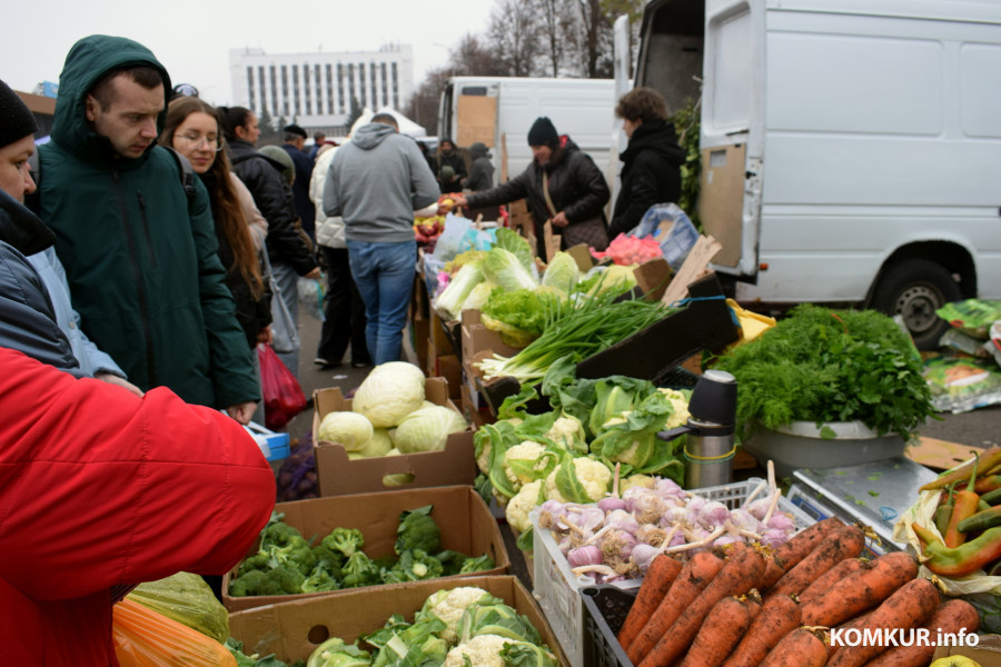 Бобруйск, 8 ноября 2025 года. Улица Горького. Сельскохозяйственная ярмарка «Золотая осень».