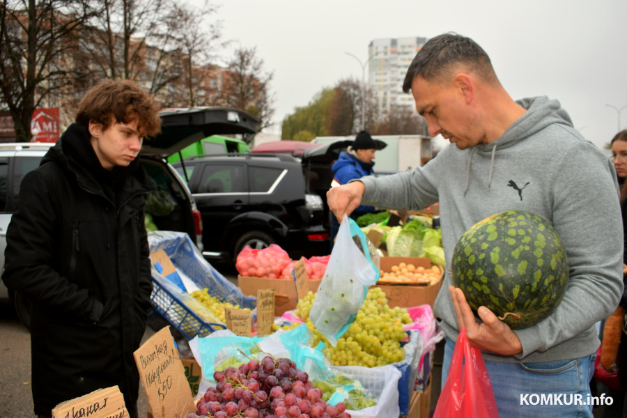 Бобруйск, 8 ноября 2025 года. Улица Горького. Сельскохозяйственная ярмарка «Золотая осень».