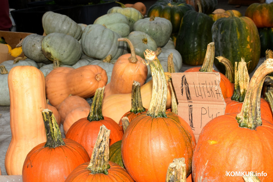 Бобруйск, 8 ноября 2025 года. Улица Горького. Сельскохозяйственная ярмарка «Золотая осень».