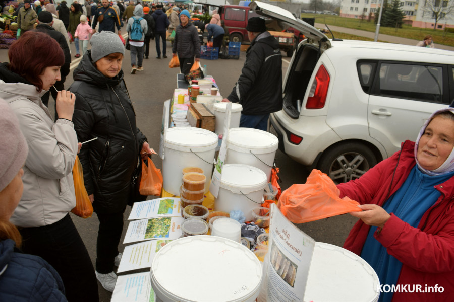 Бобруйск, 8 ноября 2025 года. Улица Горького. Сельскохозяйственная ярмарка «Золотая осень».