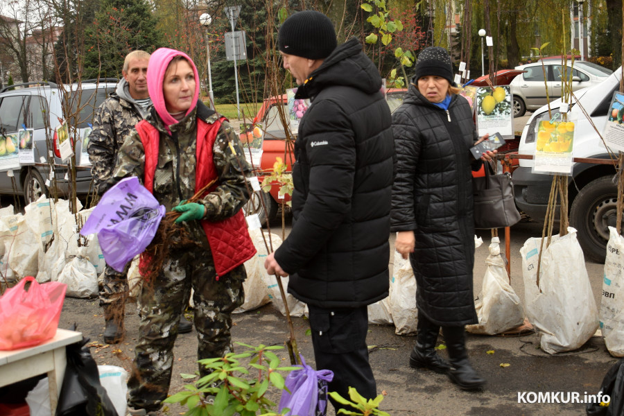 Бобруйск, 8 ноября 2025 года. Улица Горького. Сельскохозяйственная ярмарка «Золотая осень».