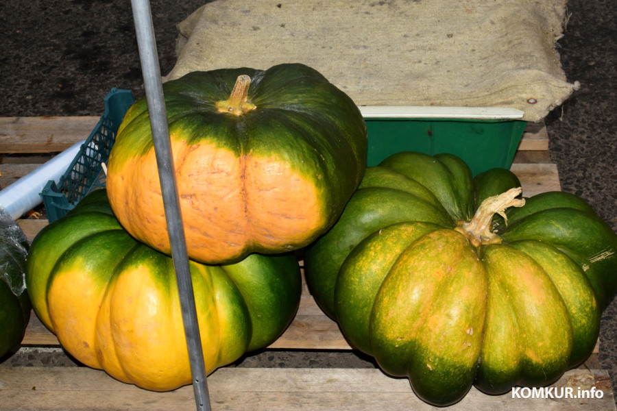 Бобруйск, 8 ноября 2025 года. Улица Горького. Сельскохозяйственная ярмарка «Золотая осень».