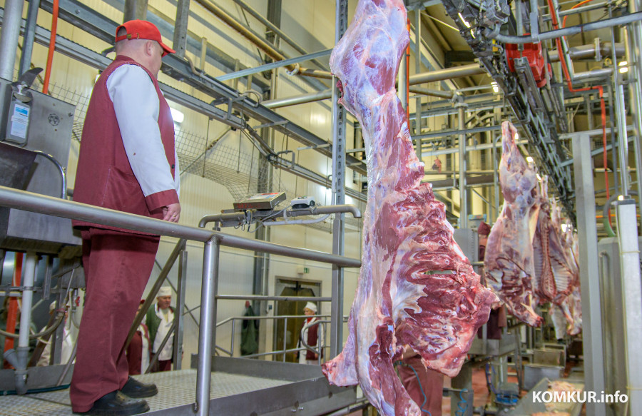 18.11.2025. Бобруйский мясокомбинат. Разделка туш КРС.