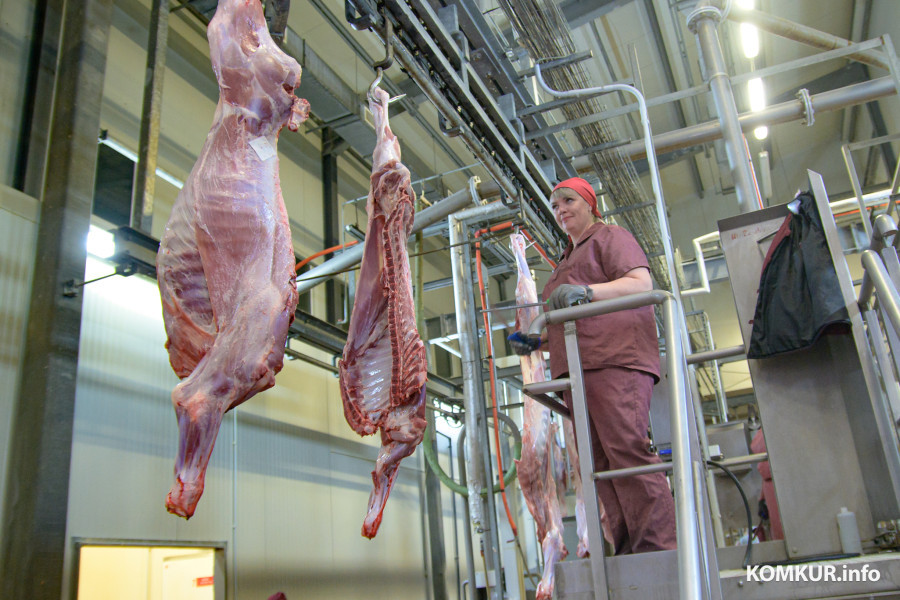 18.11.2025. Бобруйский мясокомбинат. Разделка туш КРС.