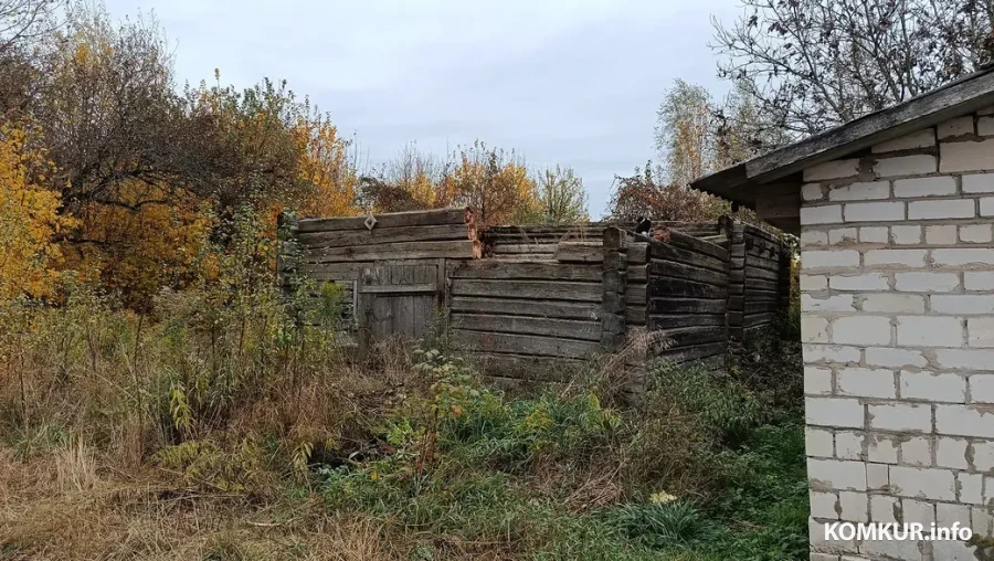 2025 г. Дом, дзе нарадзіўся сямён Вілюга, паціху разбіраюць на дровы.