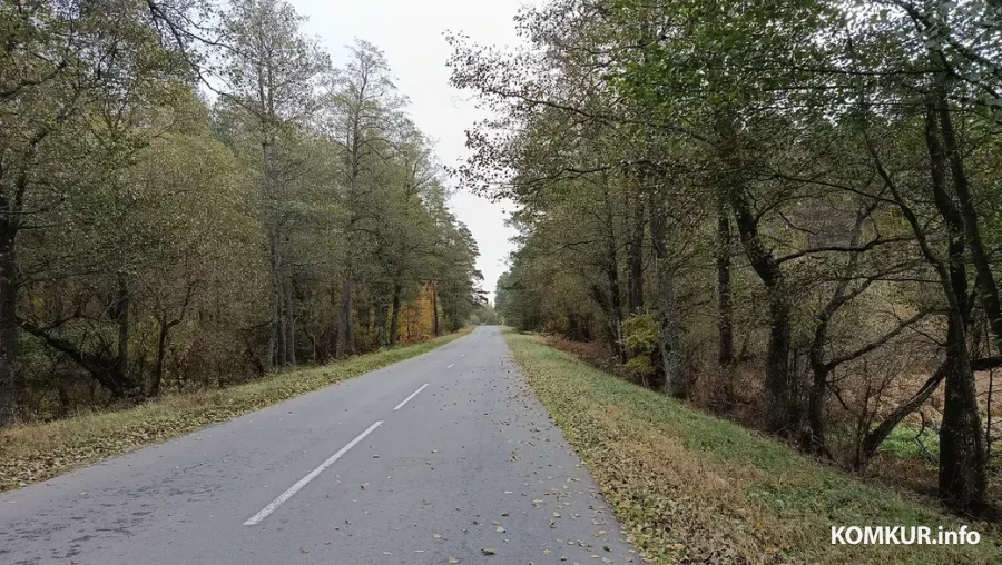 2025 г. Дарога да Усцярхоў ад бабруйскай трасы.