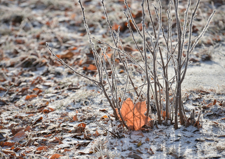 Похолодание будет недолгим. Прогноз погоды в Беларуси на неделю с 15 по 21 декабря