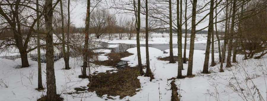 Сильный ветер и мокрый снег ожидается в Беларуси в субботу и воскресенье