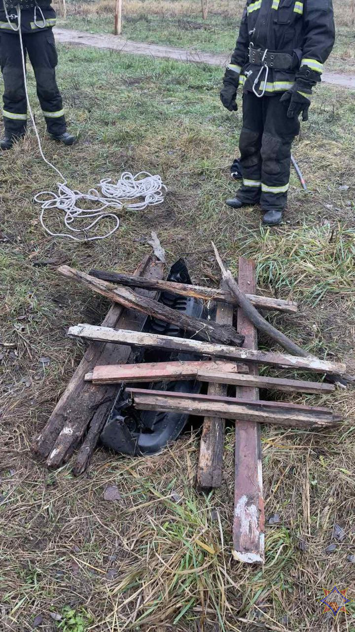 21 декабря 2025 года. Спасатели помогли псу выбраться из ямы в Бобруйске. Кадр видео.