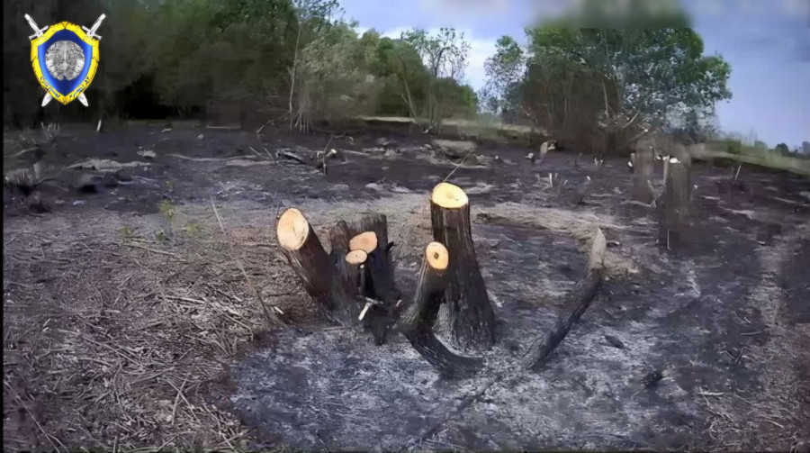 Незаконную вырубку обнаружили сотрудники инспекции охраны животного и растительного мира. Фото: СК.