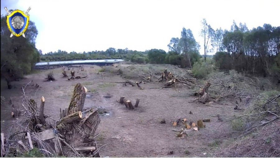 Незаконную вырубку обнаружили сотрудники инспекции охраны животного и растительного мира. Фото: СК.