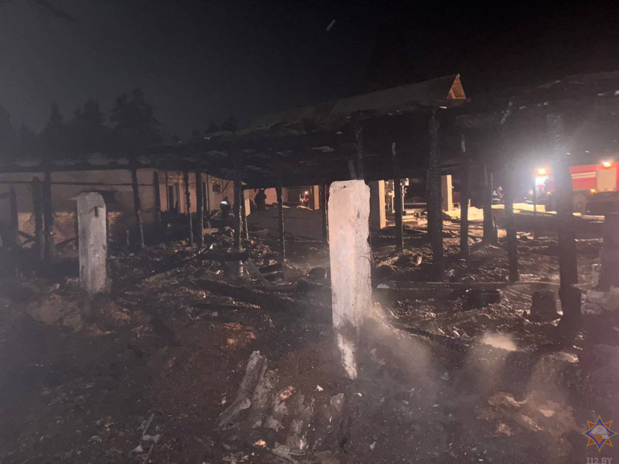 Десятки свиней погибли на пожаре в Могилевском районе (видео)