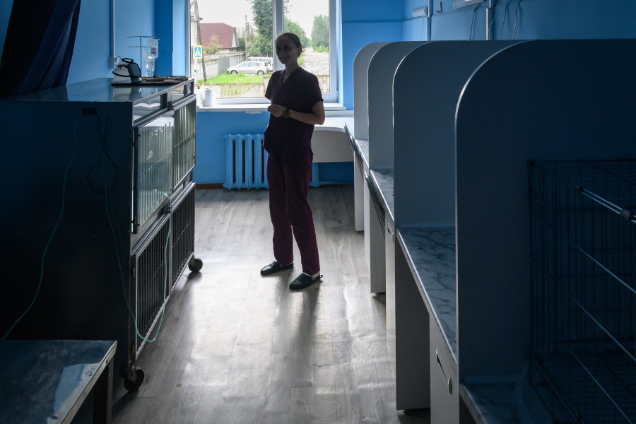 Если надо на несколько дней уехать – лучше сдайте питомца в спецгостиницу. Фото из архива редакции.