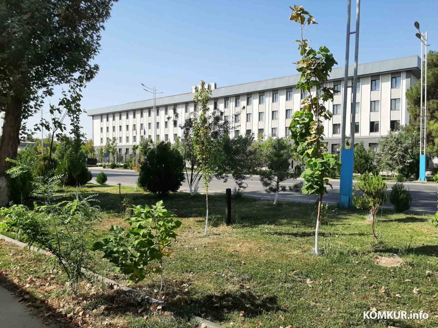 Сентябрь, 2025 года. Узбекистан, город Термез.