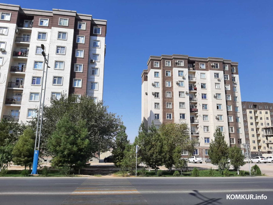 Сентябрь, 2025 года. Узбекистан, город Термез.