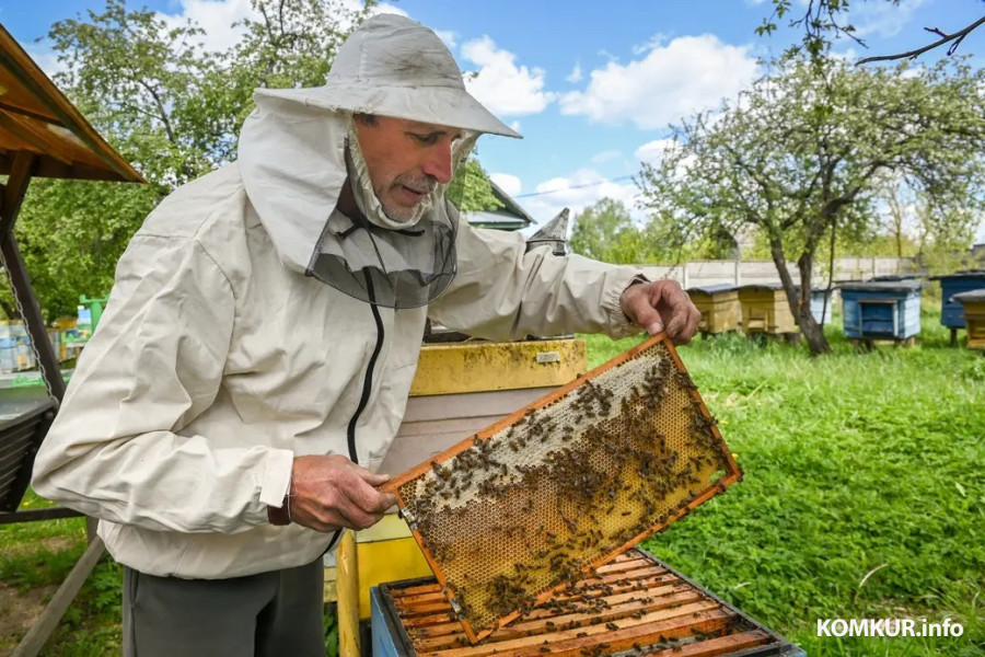Юрий Шинкевич. Деревня Дубовка.